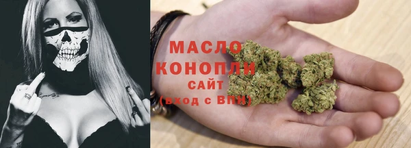 гашик Алексеевка