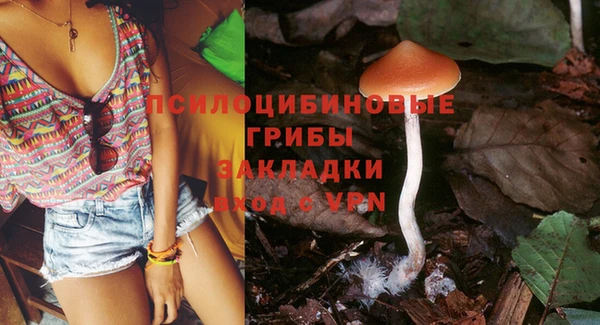 гашик Алексеевка