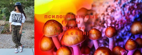 гашик Алексеевка