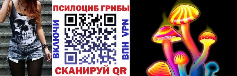 дарк нет клад  Перевоз  Псилоцибиновые грибы Psilocybine cubensis  ОМГ ОМГ ссылки 